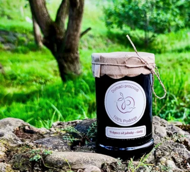 {{brizy_dc_image_alt entityId=